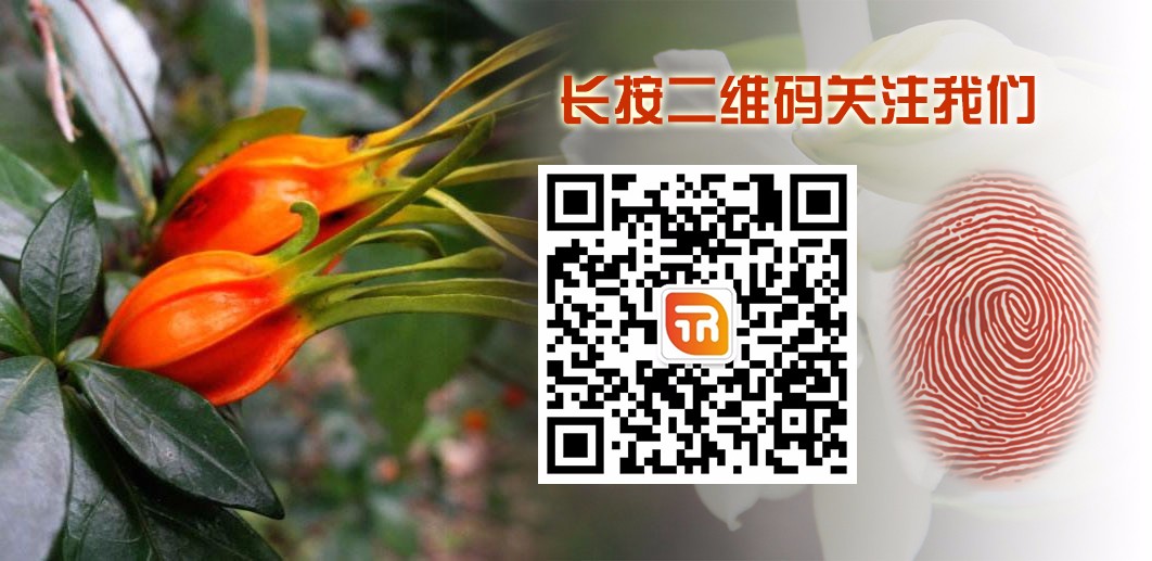 1497605201215417.jpg 关注我们.jpg